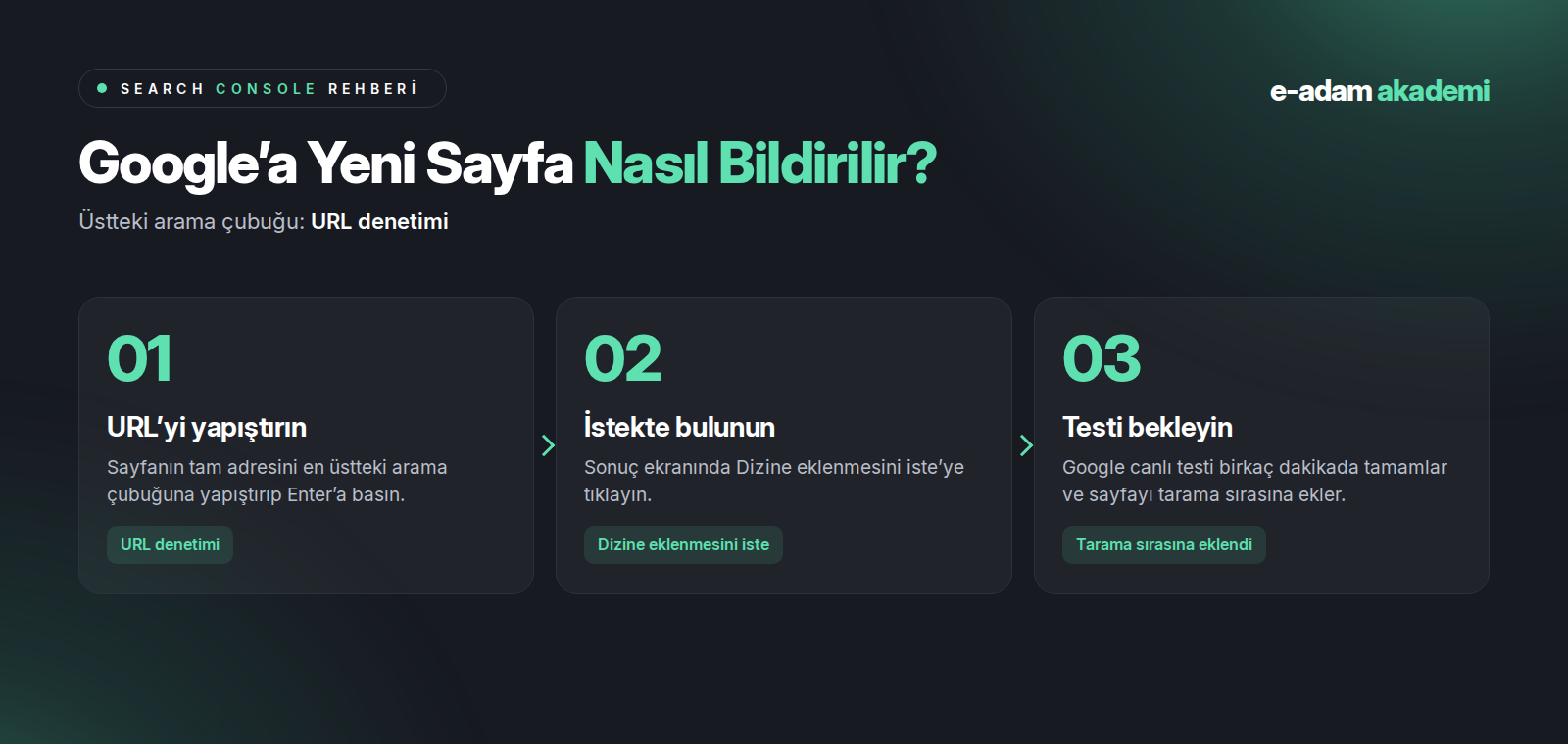 Google’a yeni sayfa bildirme adımları: URL’yi yapıştırın, dizine eklenmesini isteyin, testi bekleyin