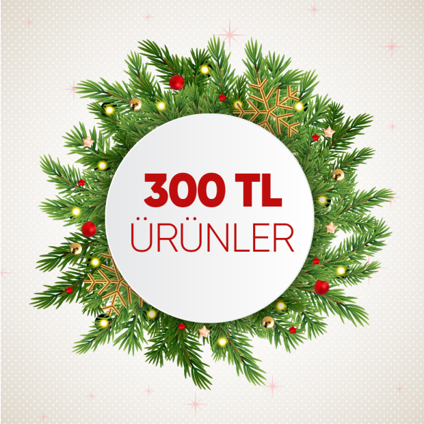 300 tl altı ürünler