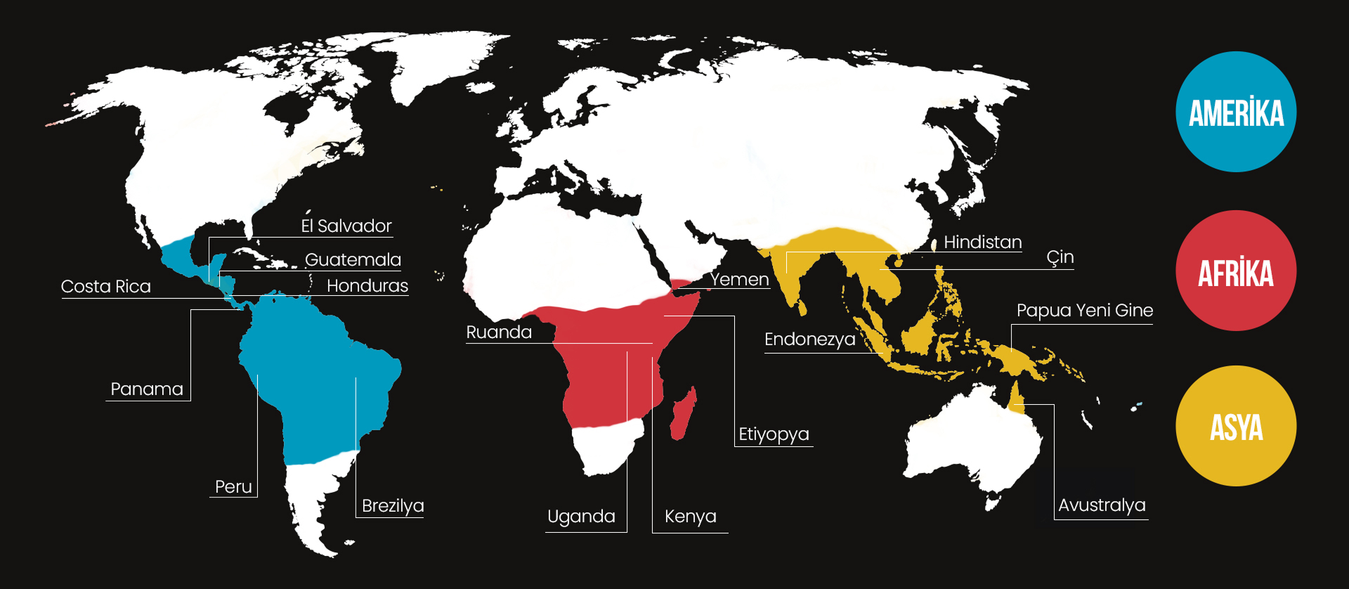 The Coffee Belt Bölgesi