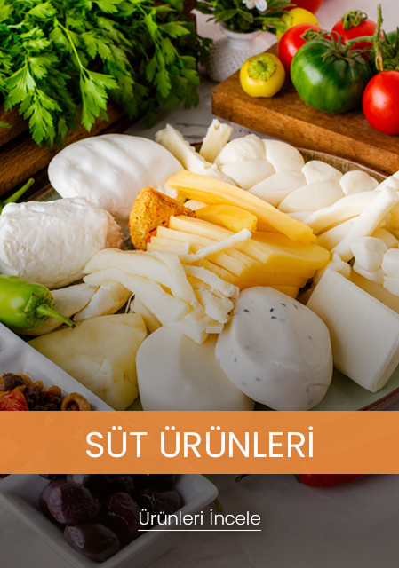Süt Ürünleri