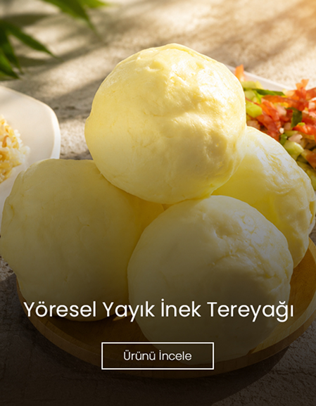 Süt Ürünleri